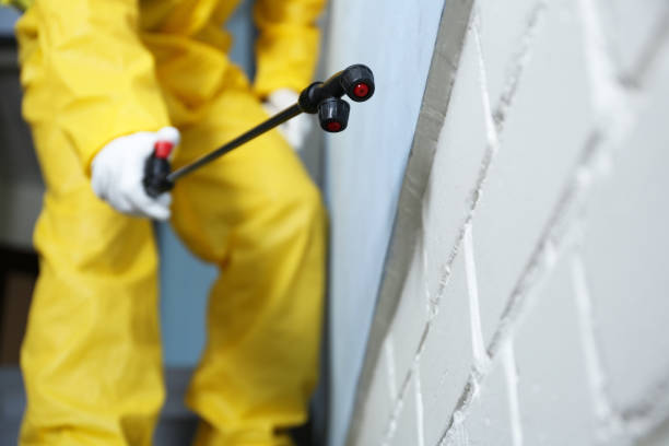 Best Pest Exclusion Services  in Stanton, NE